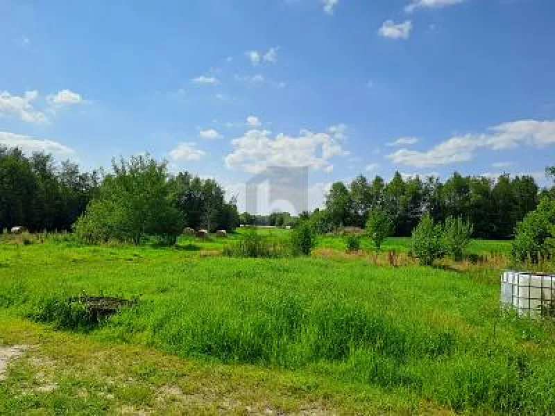  - Haus kaufen in Westoverledingen - GRÜNE OASE MIT VIELEN MÖGLICHKEITEN