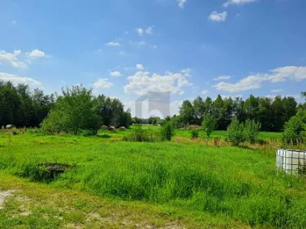  - Haus kaufen in Westoverledingen - GRÜNE OASE MIT VIELEN MÖGLICHKEITEN