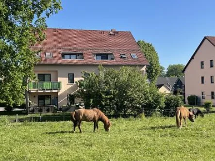  - Zinshaus/Renditeobjekt kaufen in Chemnitz - 5 % RENDITE OHNE WEITERE INVESTITIONEN