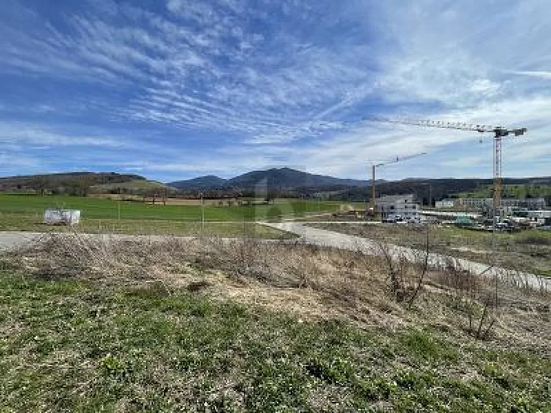  - Grundstück kaufen in Müllheim - VIEL PLATZ FÜR IHRE TRÄUME - NÄHE KLINIKUM