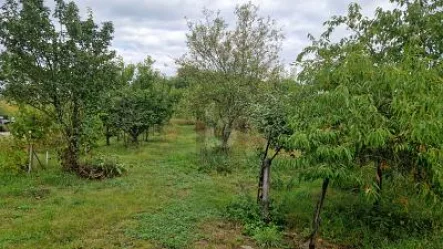  - Grundstück kaufen in Ludwigshafen am Rhein - DIE ECHTE RARITÄT FÜR IHREN BETRIEB