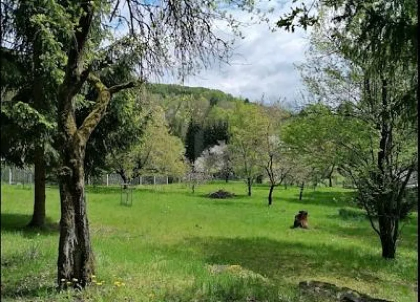  - Grundstück kaufen in Sonneberg - IDYLLE, RUHE UND VIEL PLATZ