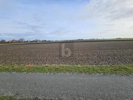  - Grundstück kaufen in Fehmarn - SONNIGE LAGE, STRANDNÄHE & VIEL PLATZ 