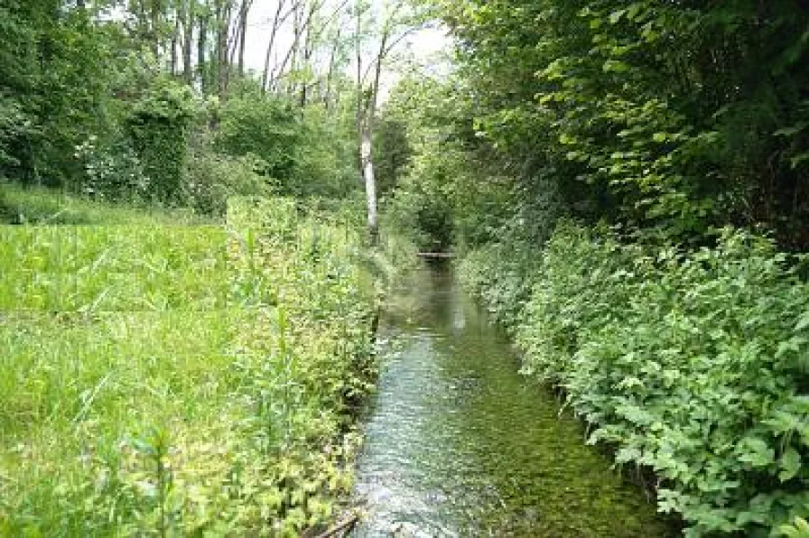  - Haus kaufen in Scheuring - GROSSES HAUS MIT BACHLAUF UND EXTRA WEIHER