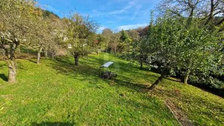  - Grundstück kaufen in Wald-Michelbach - GROß UND GÜNSTIG 