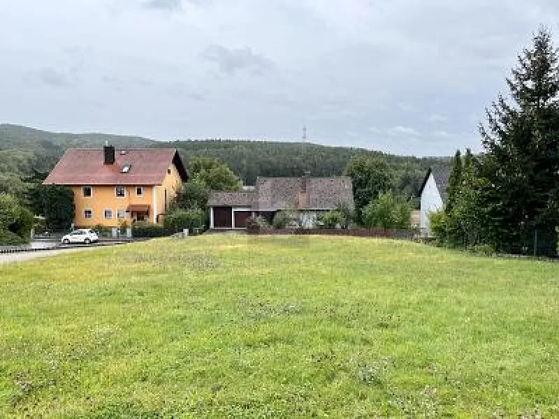  - Grundstück kaufen in Maxhütte-Haidhof - RUHIG UND FLEXIBEL BEBAUBAR AM HANG