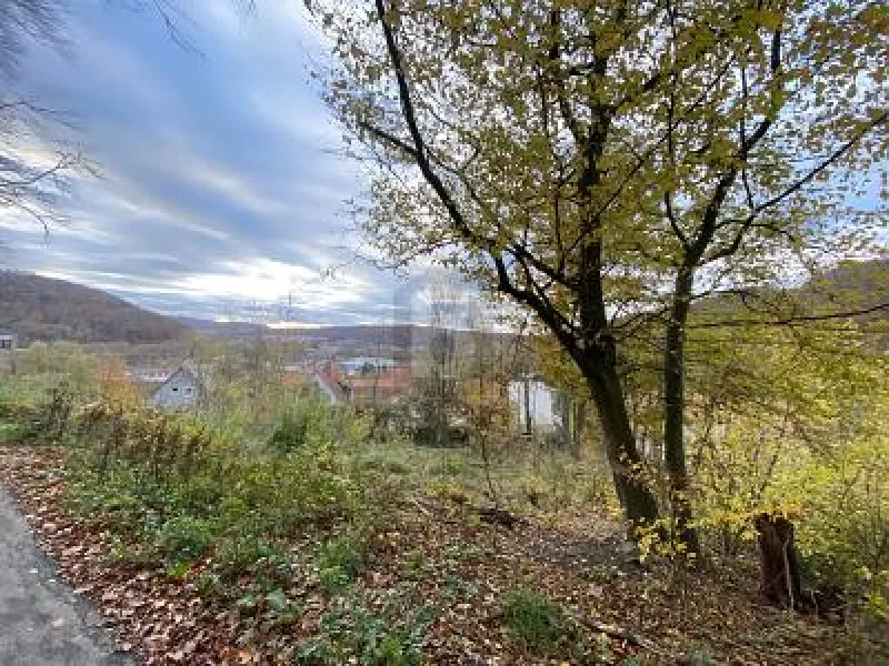  - Grundstück kaufen in Hannoversch Münden - IHR RÜCKZUGSORT: 960 M² INMITTEN DER NATUR