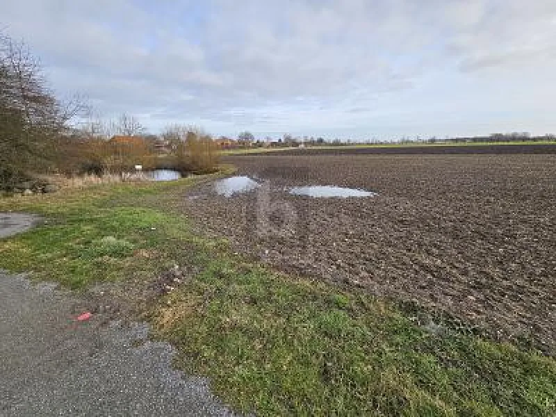  - Grundstück kaufen in Fehmarn - GROßZÜGIGE BAUFLÄCHE NAHE DER OSTSEE MIT TEICH