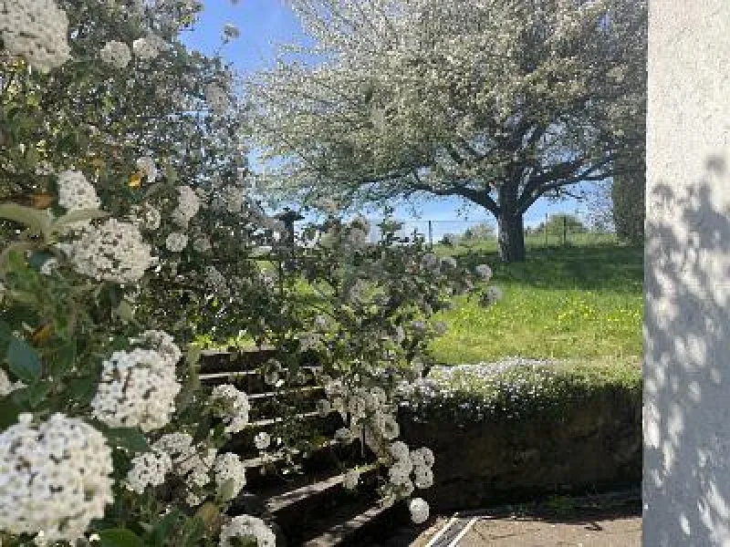  - Grundstück kaufen in Berg - NATUR PUR- AM LANDSCHAFTSSCHUTZGEBIET