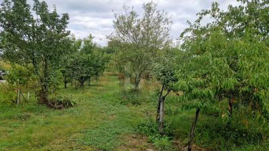  - Grundstück kaufen in Ludwigshafen am Rhein - DIE ECHTE RARITÄT FÜR IHREN BETRIEB