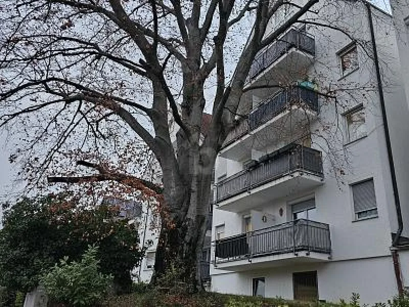  - Wohnung kaufen in Ludwigsburg - CHARMANTES 2-RAUM-HOCHPARTERRE-DOMIZIL