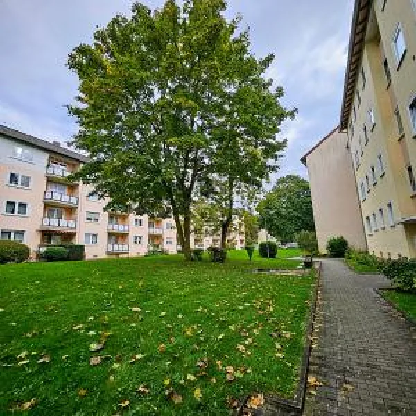  - Wohnung kaufen in Frankfurt am Main - ERHOLEN SIE SICH BEI EINEM ENTSPANNENDEN AUSBLICK!