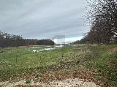  - Grundstück kaufen in Zierow - EINZIGARTIG UND NATURBELASSEN MIT BAUGRUNDSTÜCK