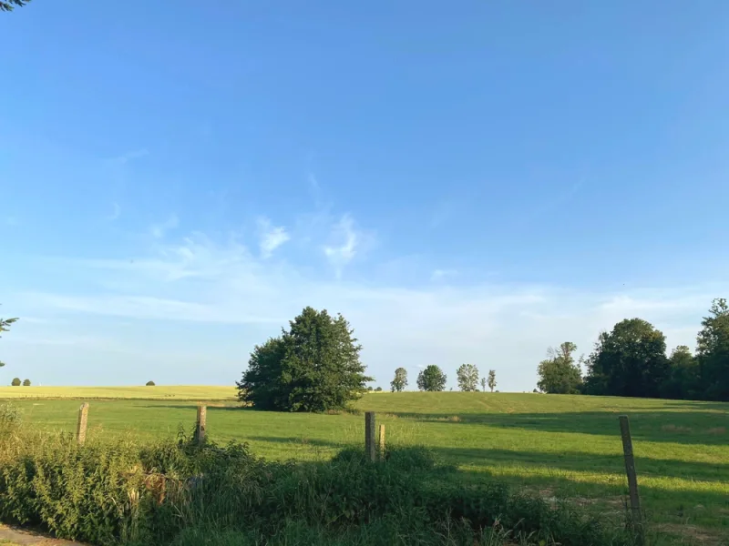 Ausblick ins Grüne