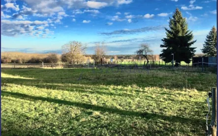 Blick hinter dem Grundstück - Grundstück kaufen in Wandlitz - Das Naturschutzgebiet ist nahe Ihrem Baugrundstück