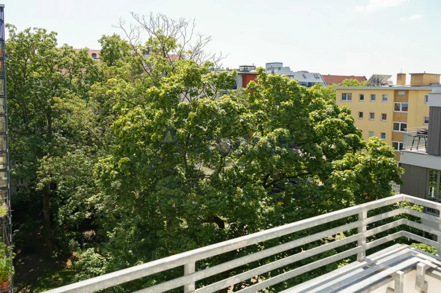 Blick vom Balkon