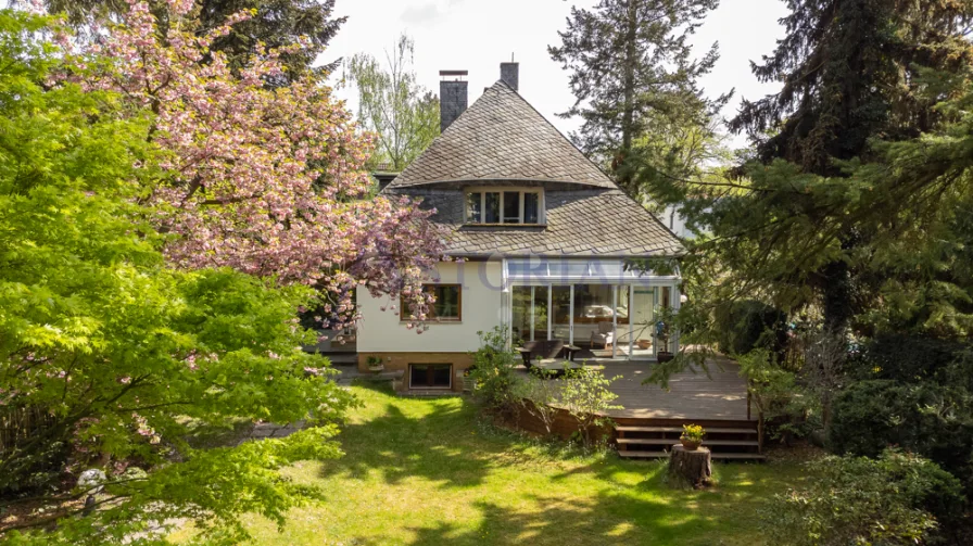 Blick in den Garten