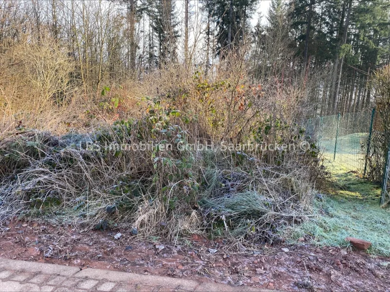 Foto Grundstück - Grundstück kaufen in Weiskirchen - Freizeitgrundstück in ruhiger Lage mit Weitsicht in Weiskirchen