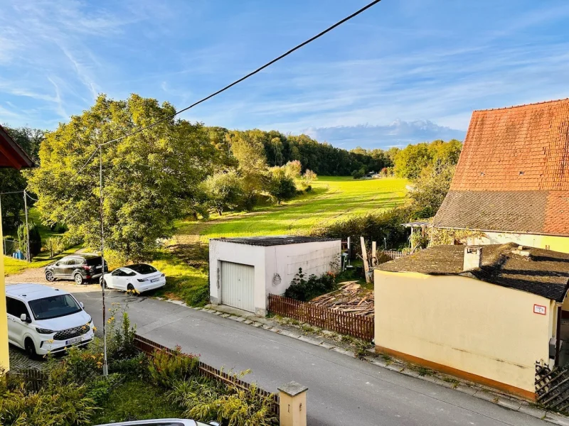 Ausblick Balkon