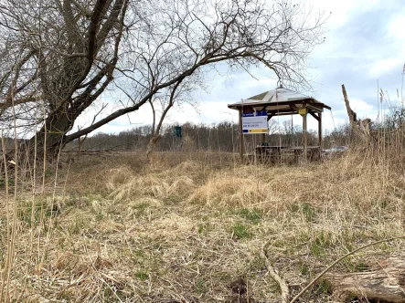 Pavillion am Ufer - Grundstück kaufen in Bad Freienwalde - Wassergrundstück an der Wriezener alten Oder