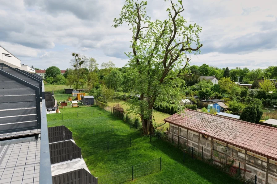 Ausblick von der Dachterrasse