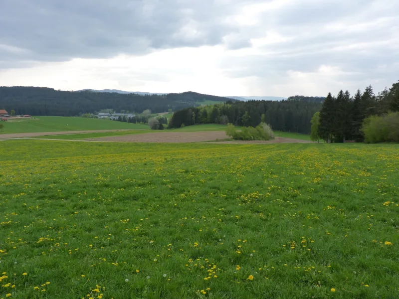 freier Blick auf die Landschaft