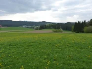 freier Blick auf die Landschaft