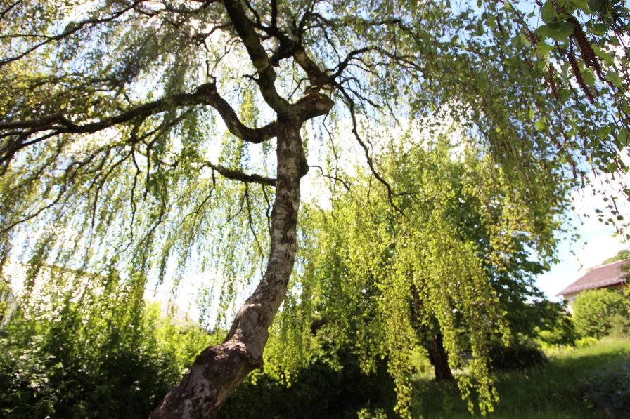 schöner Garten