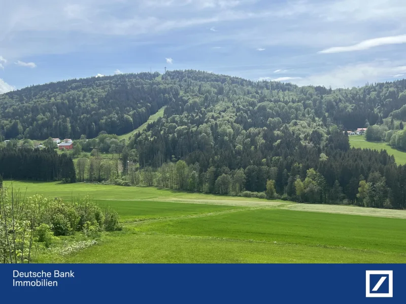 Panorama  - Grundstück kaufen in Jandelsbrunn - **Sie suchen einen ruhigen Bauplatz?** Grundstück mit Fernblick in Heindlschlag/Jandelsbrunn 