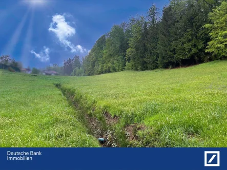 Wasserlauf - Grundstück kaufen in Neureichenau - *Ca. 1,7 ha Grünland mit Wasserquellen in Neureichenau* - Bayerischer Wald 