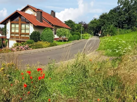 Seitenansicht - Haus kaufen in Naumburg - Traumhaftes Landhaus in waldreicher Umgebung