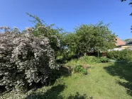 Der Garten