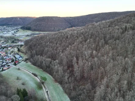 Aussenansicht - Land- und Forstwirtschaft kaufen in Mühlhausen - ca 4480 m² großes Waldgrundstück zu verkaufen