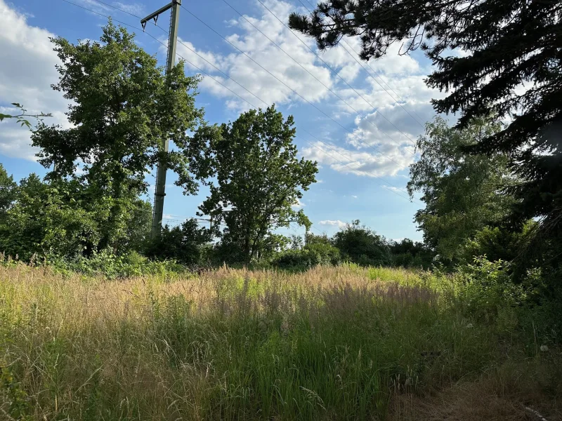 01 Blick Süd-West - Grundstück kaufen in Blankenfelde-Mahlow - Flexibel bebaubares Grundstück in Blankenfelde-Mahlow 