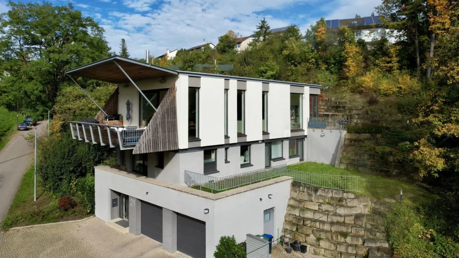 Außenansicht - Haus kaufen in Sachsenheim - Exklusives Architektenhaus im Mettertal in unberührter Landschaft im Naturschutzgebiet 