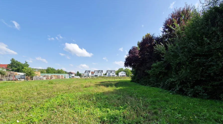 Aussicht vom Grundstück - Grundstück kaufen in Marbach - Natur- und stadtnah: das ideale Grundstück für Ihr Traumhaus in Rielingshausen