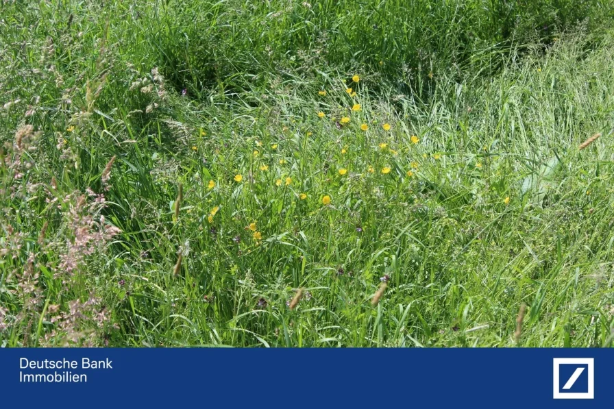  - Grundstück kaufen in Nagold - Hier können Sie sich IHRE neue Adresse kaufen