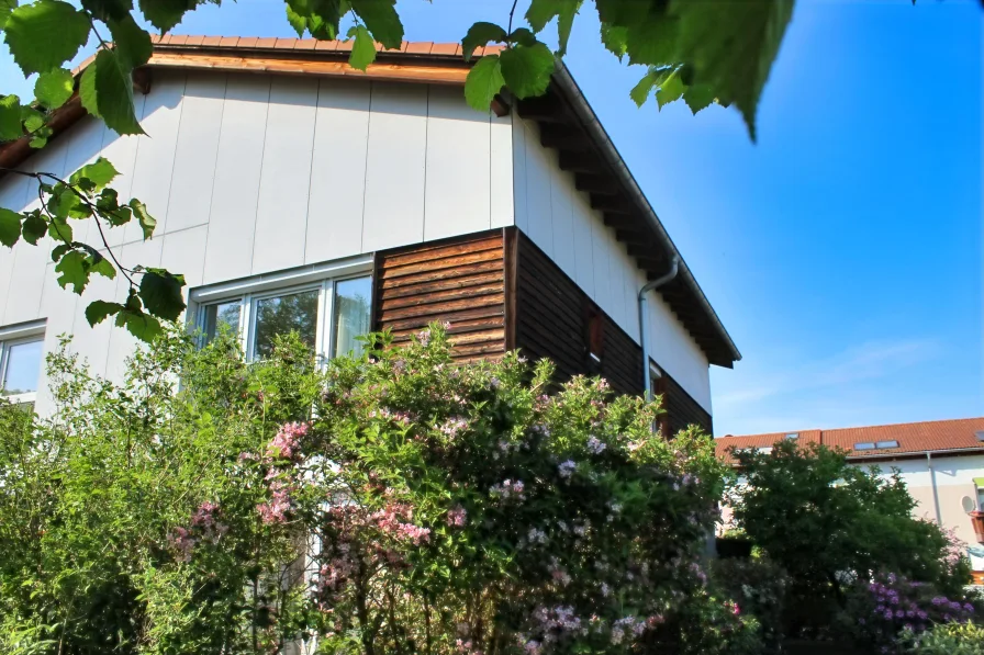 Außenansicht - Haus kaufen in Dresden - Stadtparadies