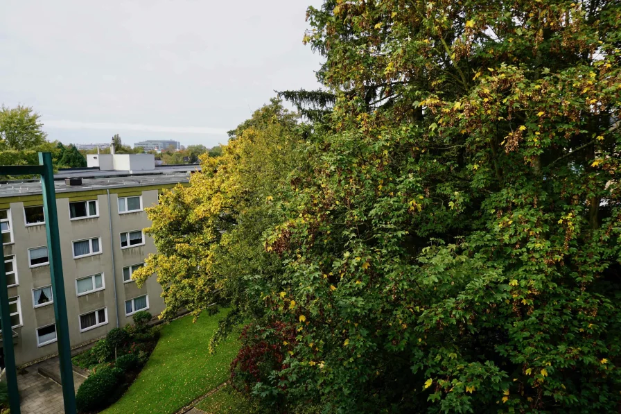 Ausblick Balkon hinten