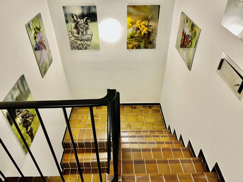 Treppe zum Keller