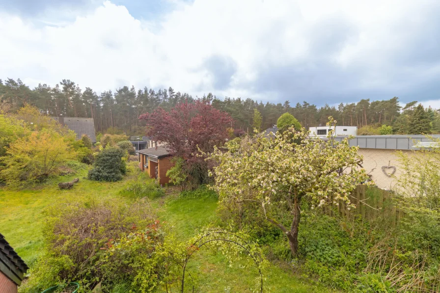 Ausblick in den Garten