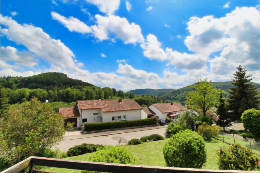 Ausblick vom Balkon DG