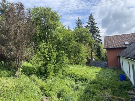 Grundstück - Grundstück kaufen in Trierweiler - Kleines Baugrundstück in Ortslage