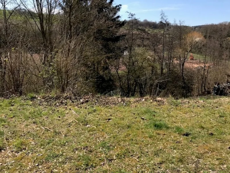 Ockfen 1 - Grundstück kaufen in Ockfen - Baugrundstück in Ortslage von Ockfen