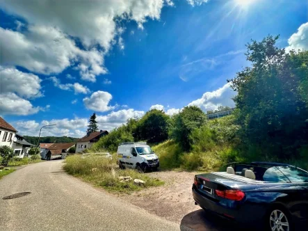 Straßenansicht  - Grundstück kaufen in Zerf - lukratives Grundstück mit Baugenehmigung für ein Doppelhaus