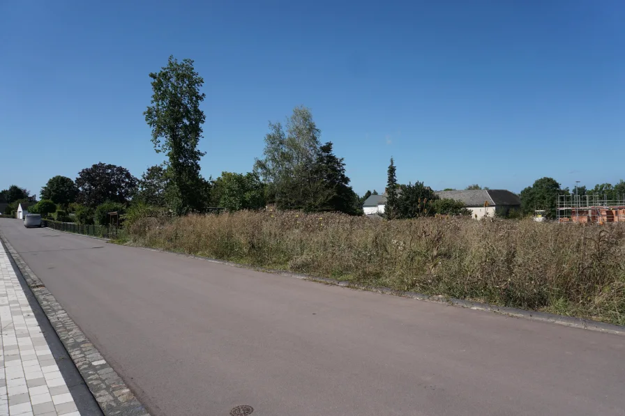 Straßenansicht - Grundstück kaufen in Bitburg - Neubaugrundstück in Masholder