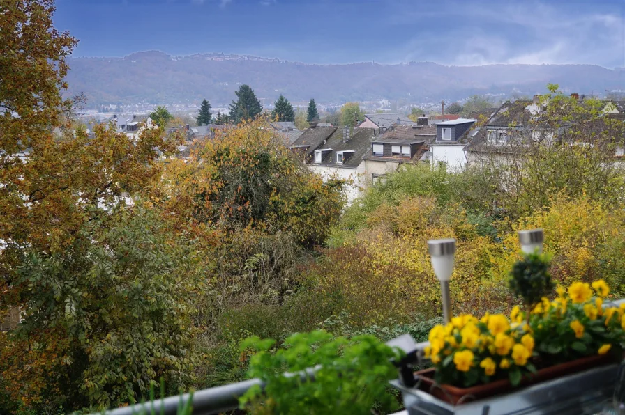 Blick vom Balkon