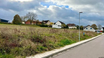 Straßenansicht - Grundstück kaufen in Bitburg - Herrliches Neubaugrundstück in Masholder