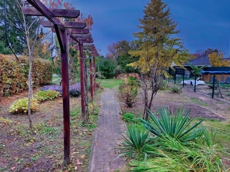 Blick in den Garten