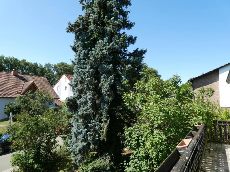 Aussicht vom Balkon